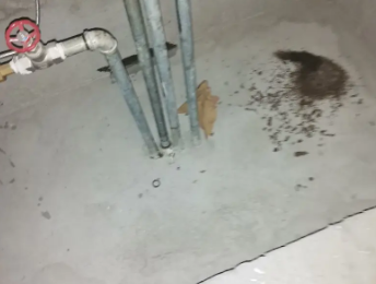 南郑卫生间测漏水价格明细