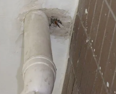 南郑漏水检测哪家好